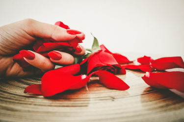 Hand mit Rosenblätter