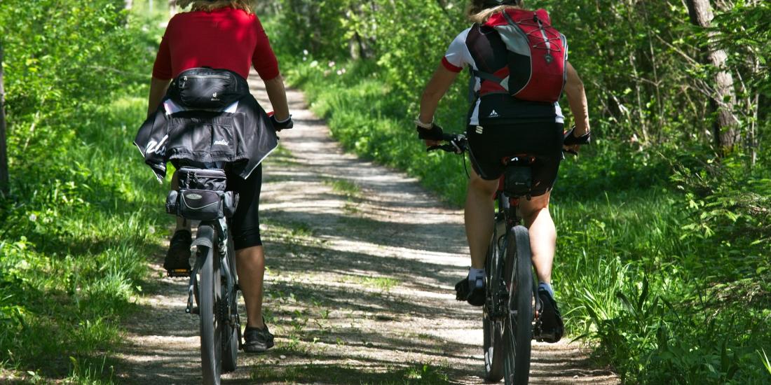 Radfahrer im Wald