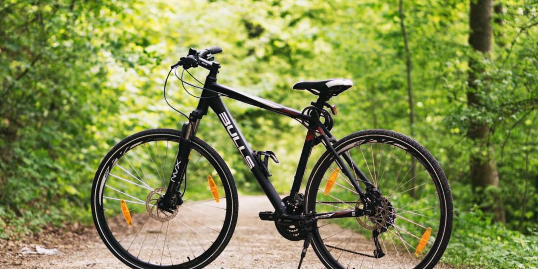 Fahrrad im Wald auf einem Feldweg