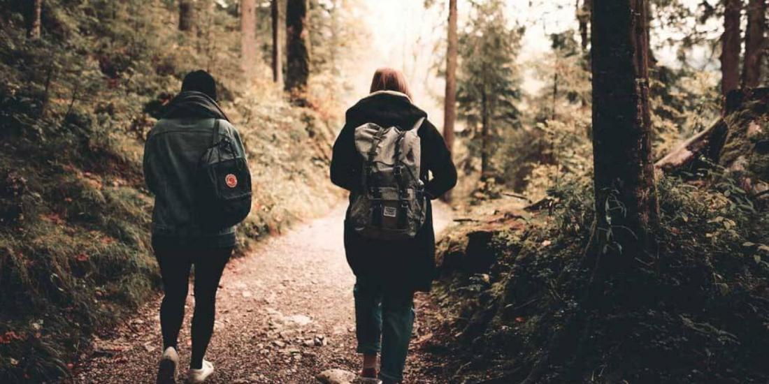 zwei Wanderer im Wald