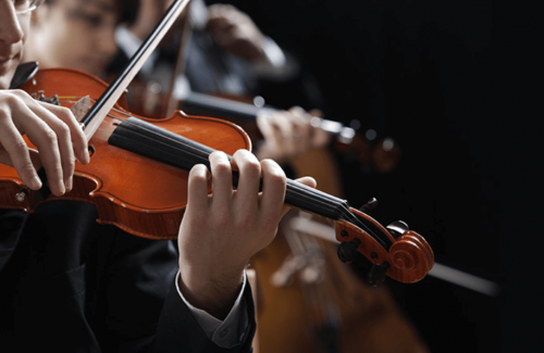 Violine