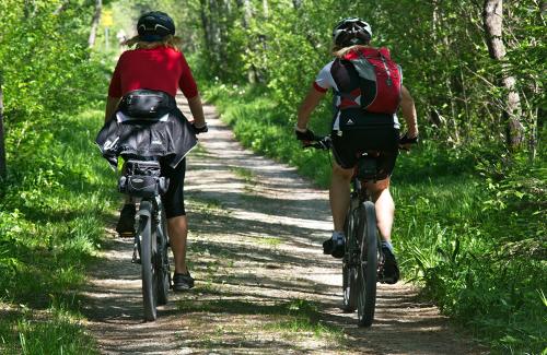 Radfahrer im Wald