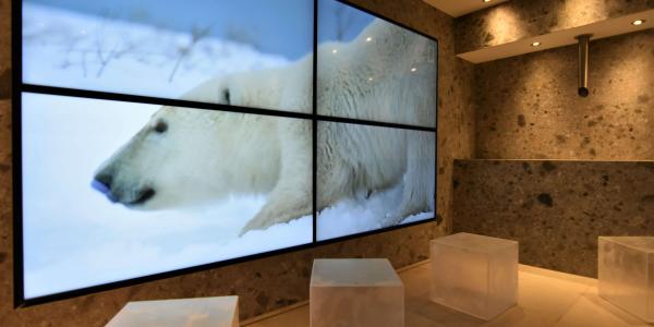 Saunawelt NEU Eis-Lounge