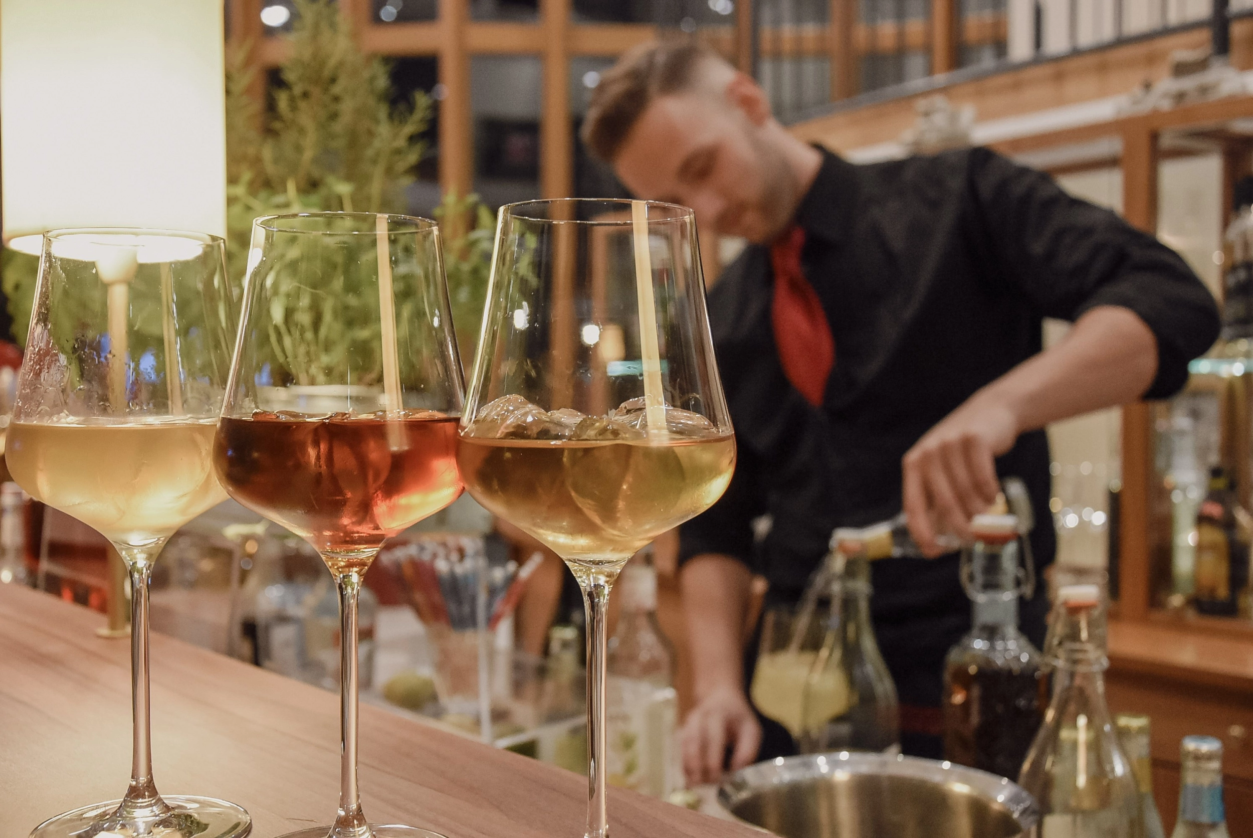 20180818 Gin c Pavel Laurencik DSC 8417 20180818 Gin c Pavel Laurencik DSC 8417