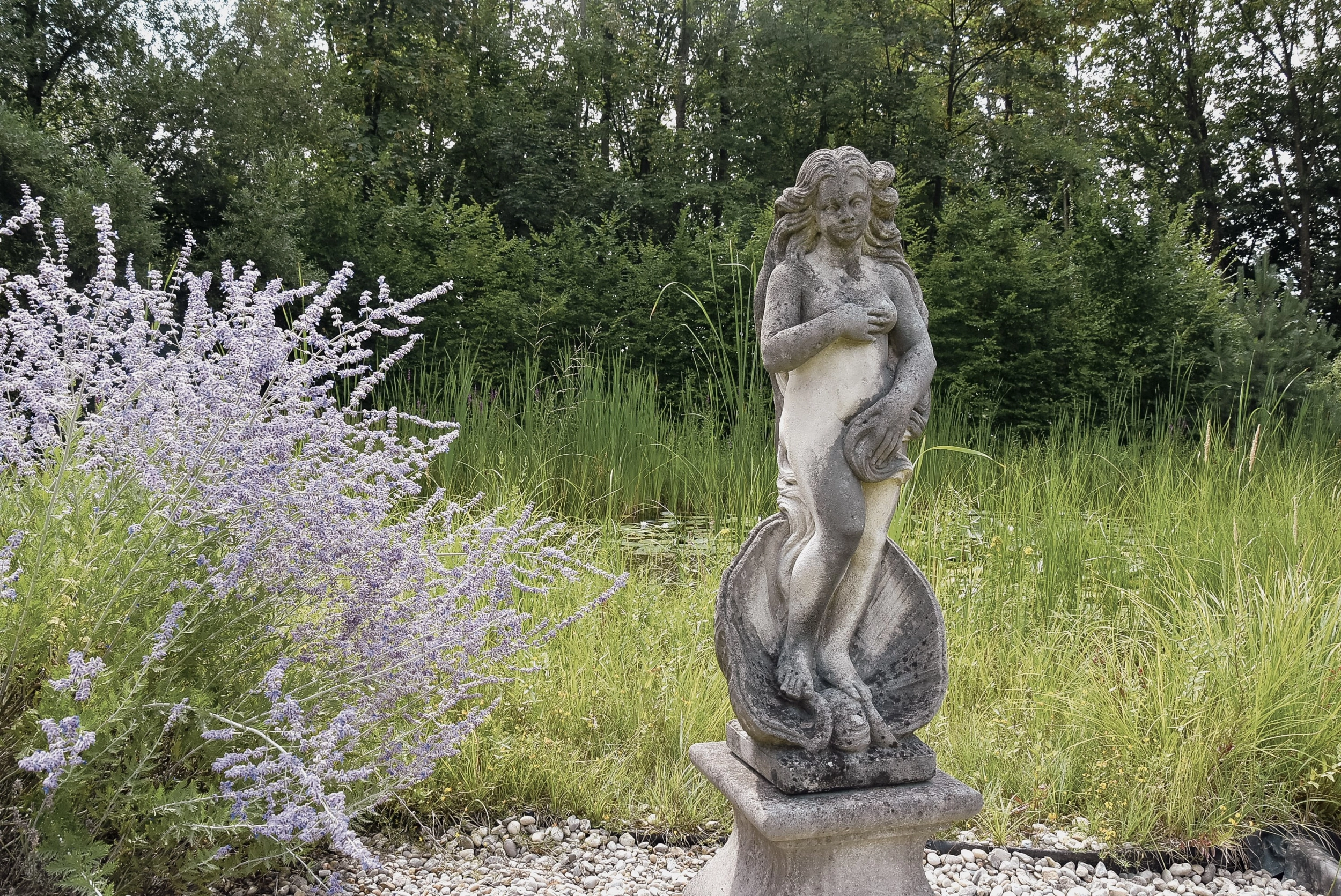 20180721 Schlosspark Mauerbach c Pavel Laurencik DSC 7357