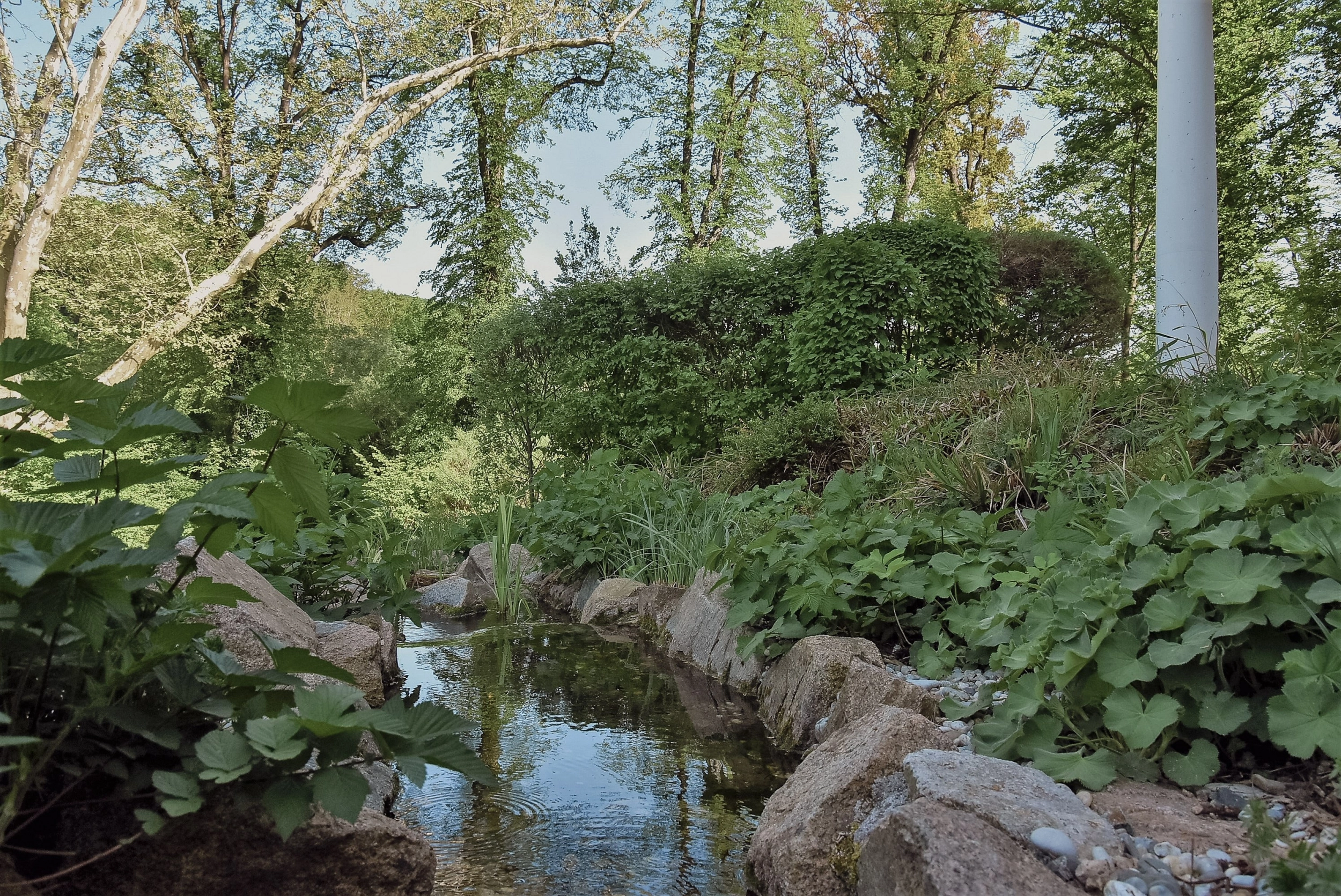 20180429 Schlosspark Mauerbach c Pavel Laurencik DSC 4469 1